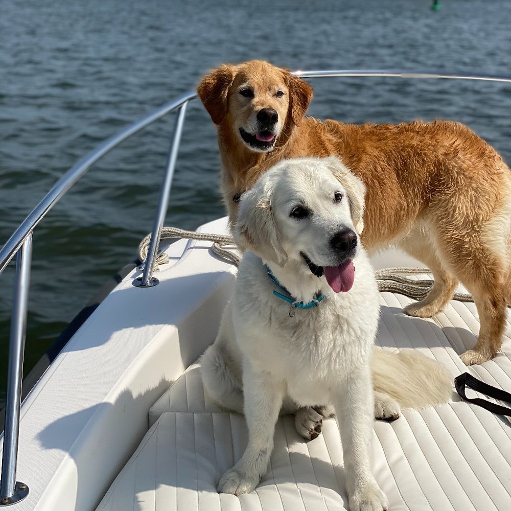 Meet your Posher, Tiina